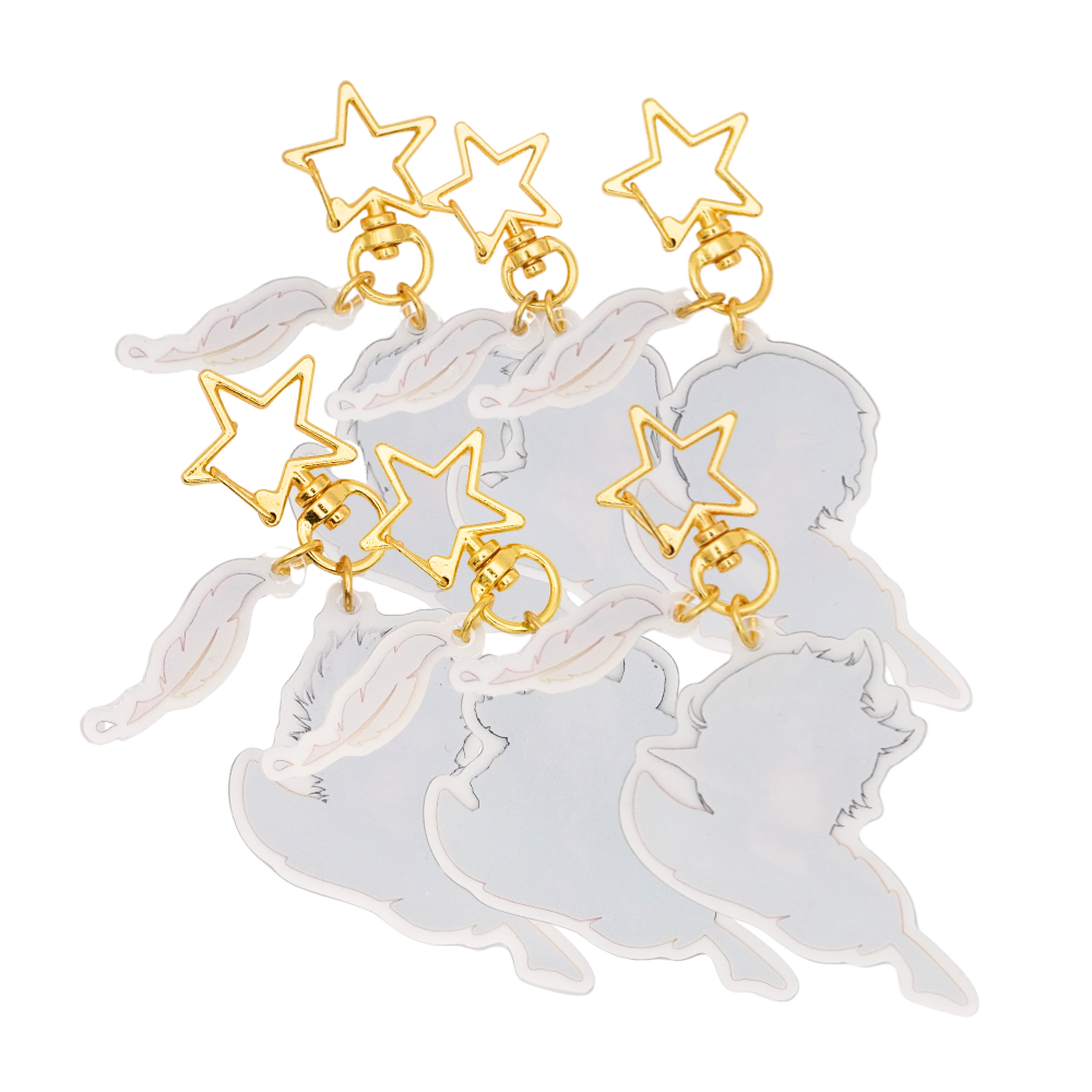 Acryl Schlüsselanhänger Set